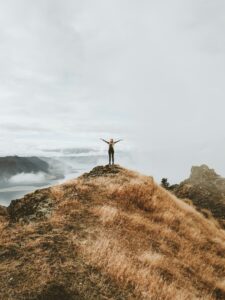 new NZ business investor work visa opening November 2025