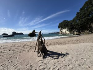 Further changes to partner of a new zealander temporary visas